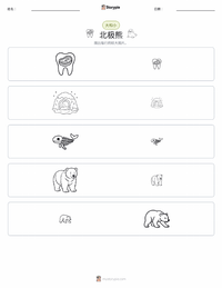 北极熊 可打印工作表预览