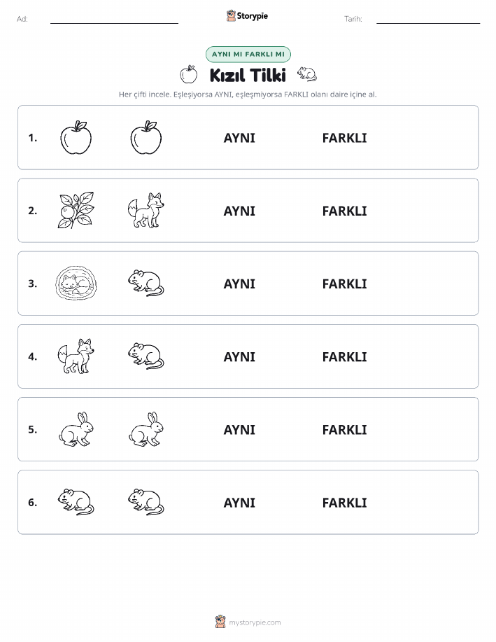 Aynı mı Farklı mı
