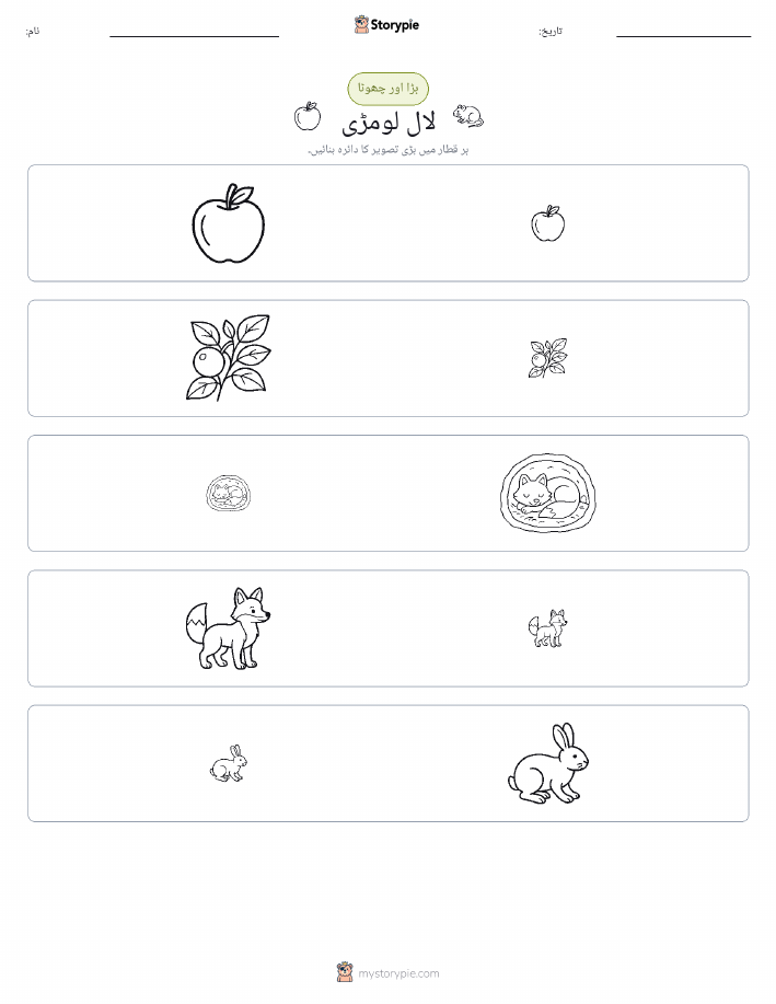 ترتیب دینا