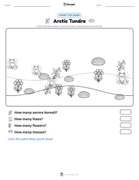 Arctic Tundra printable worksheet preview