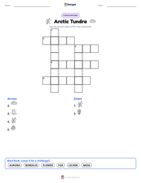Arctic Tundra printable worksheet preview