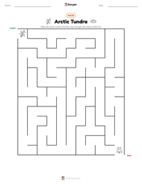 Arctic Tundra printable worksheet preview