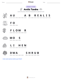 Arctic Tundra printable worksheet preview