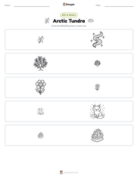 Arctic Tundra printable worksheet preview