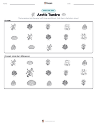 Arctic Tundra printable worksheet preview