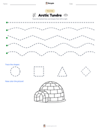 Arctic Tundra printable worksheet preview
