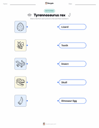 Tyrannosaurus rex printable worksheet preview
