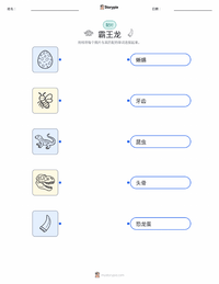 霸王龙 可打印工作表，适合儿童