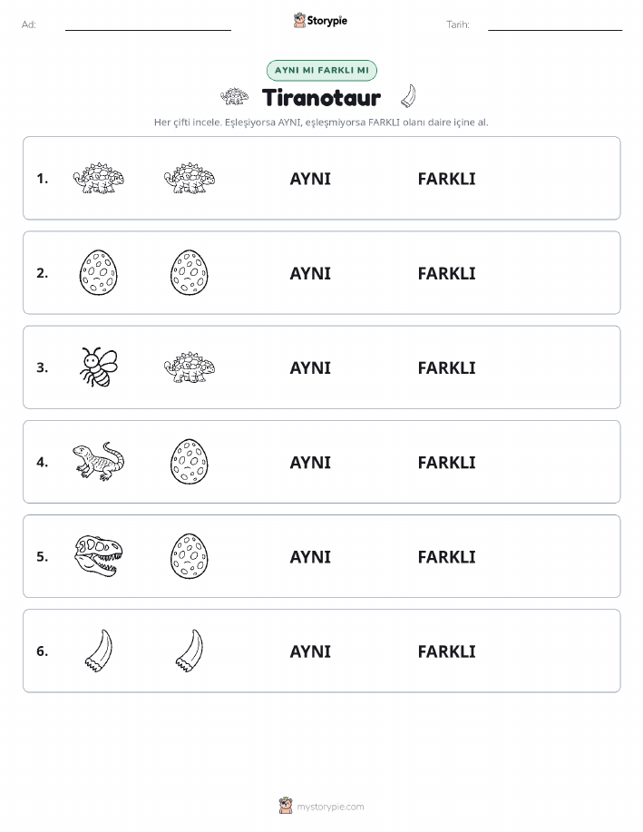 Aynı mı Farklı mı