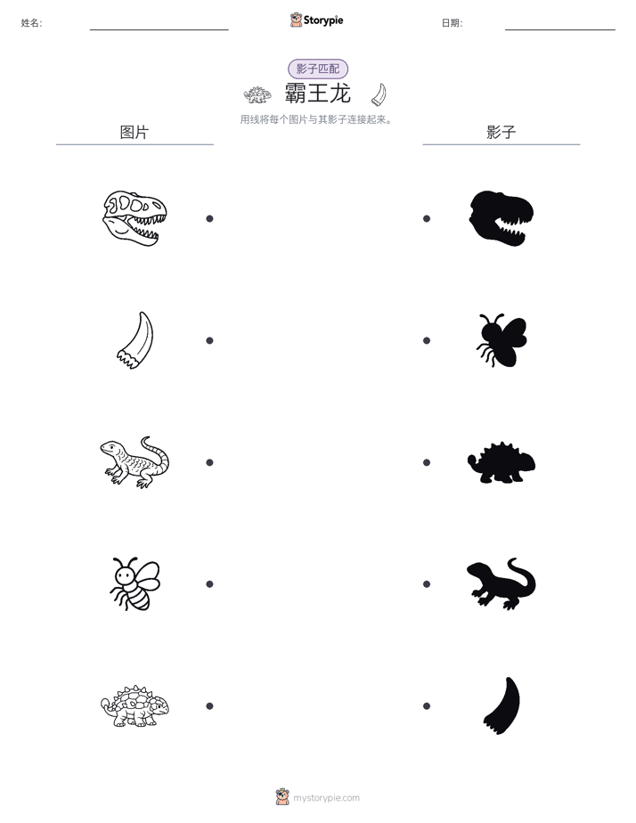 影子匹配