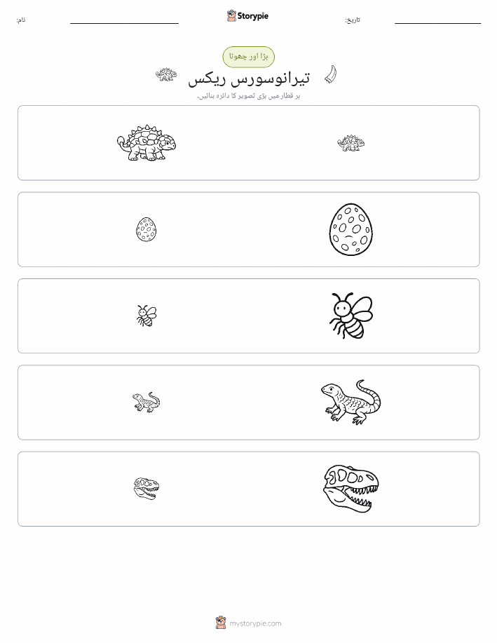 ترتیب دینا