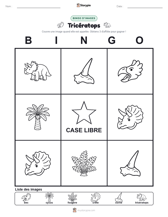 Bingo d'Images