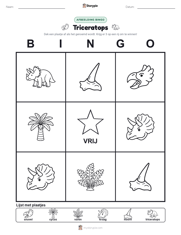 Afbeelding Bingo