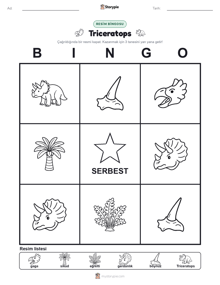 Resim Bingo