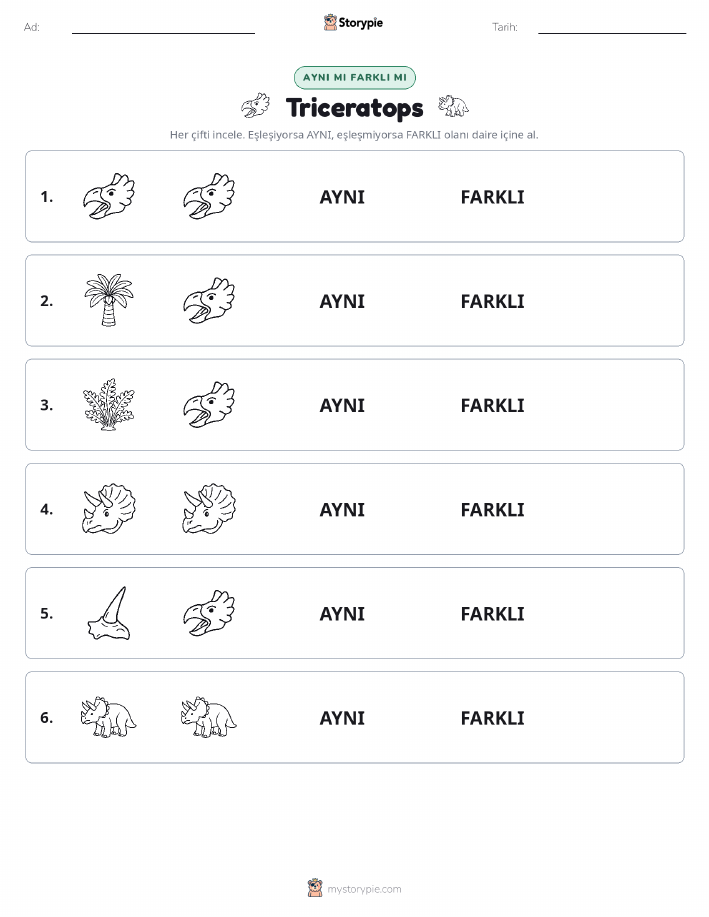 Aynı mı Farklı mı