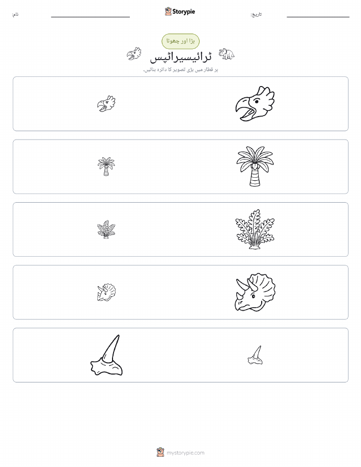 ترتیب دینا