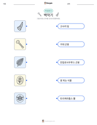 백악기 인쇄 가능한 워크시트 미리보기