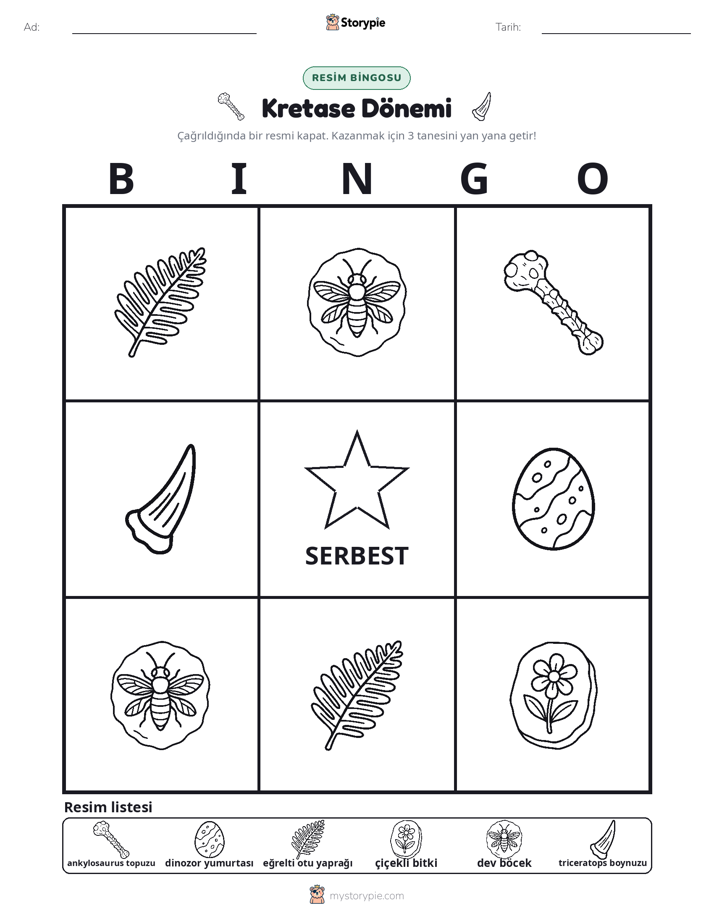 Resim Bingo