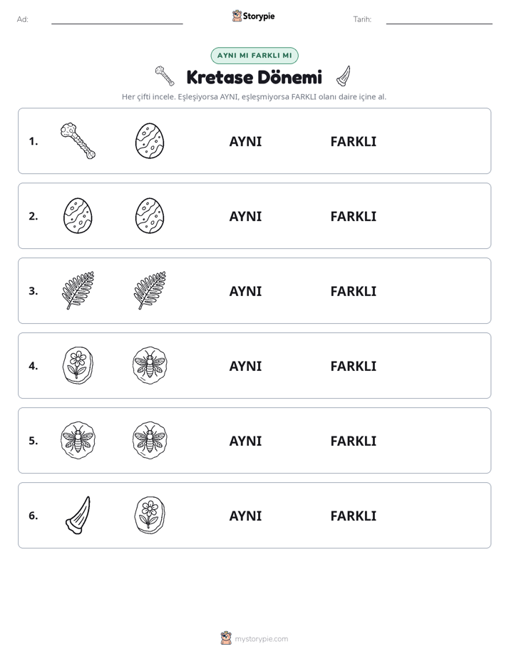 Aynı mı Farklı mı
