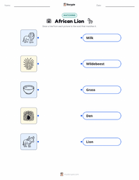 African Lion printable worksheet preview