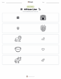 African Lion printable worksheet preview