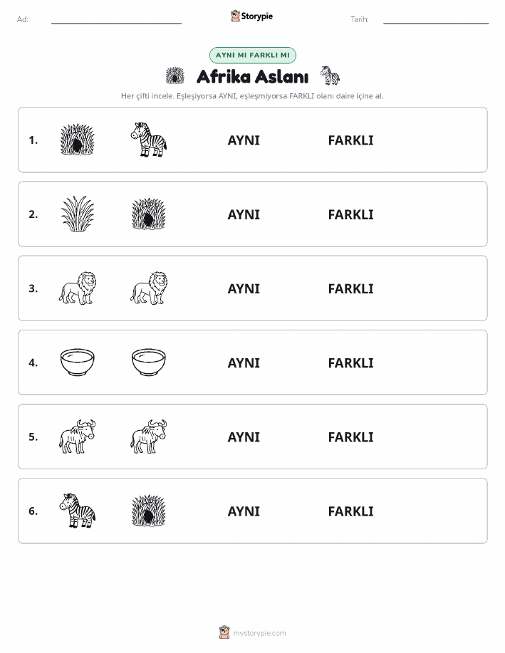 Aynı mı Farklı mı