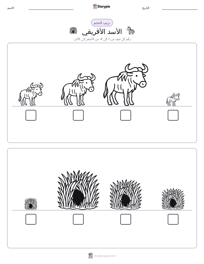 ترتيب الحجم