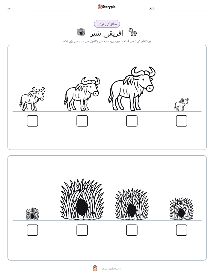 سائز کی ترتیب