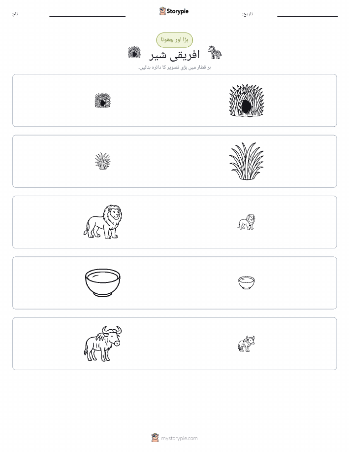 ترتیب دینا