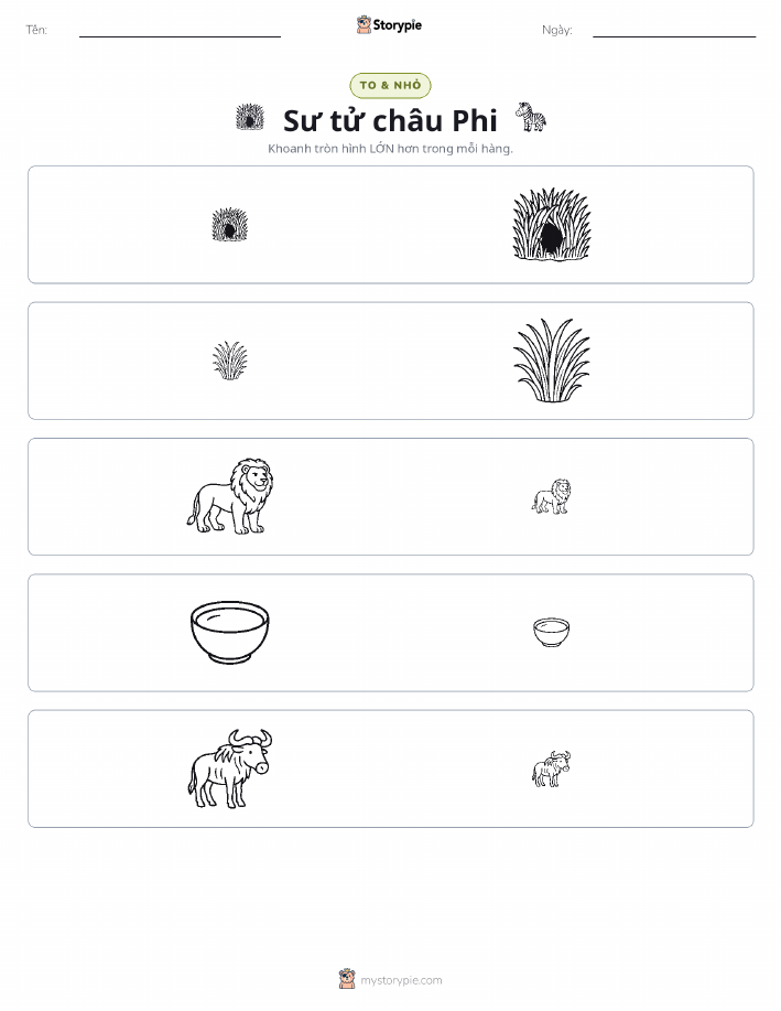 Phân Loại