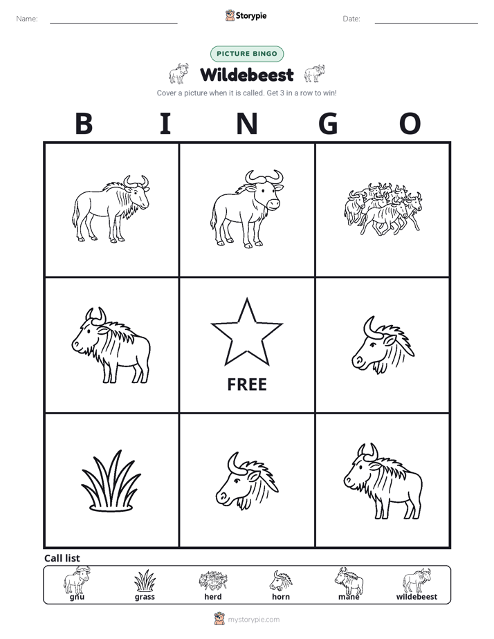 Picture Bingo