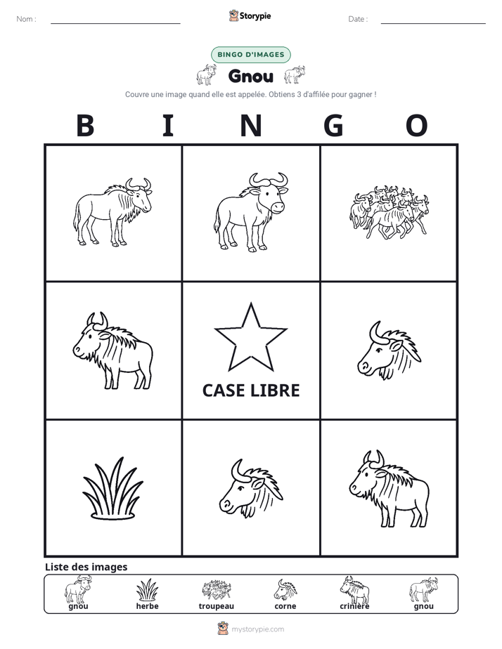Bingo d'Images