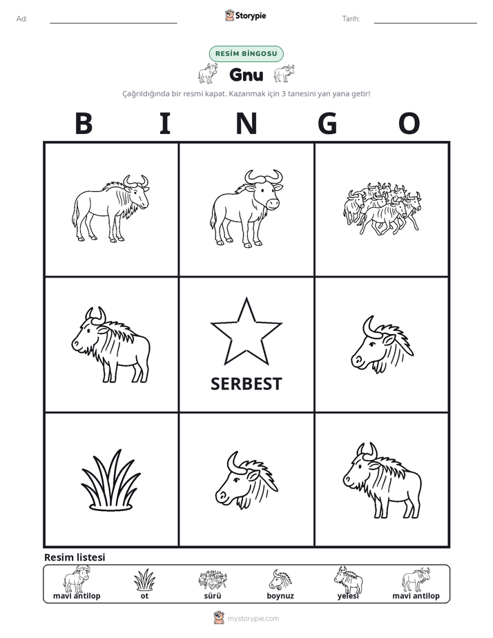 Resim Bingo