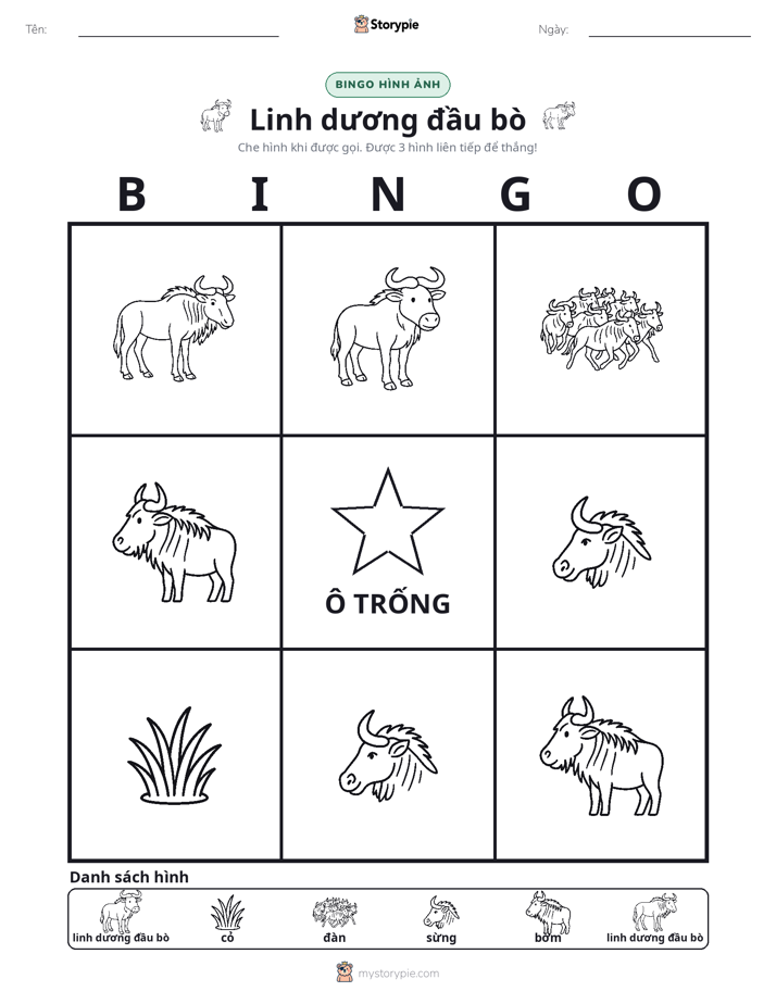 Bingo Hình Ảnh