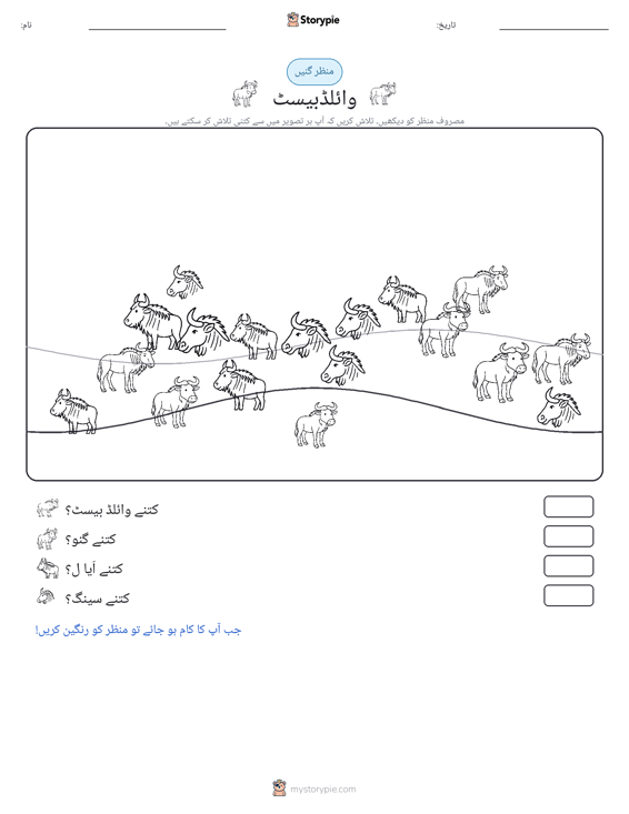 گنتی کا منظر