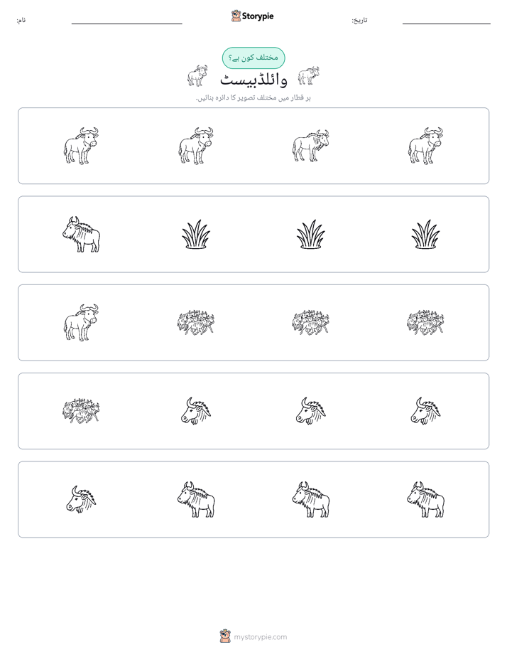 عجیب ایک