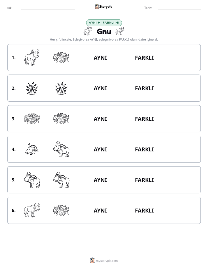 Aynı mı Farklı mı
