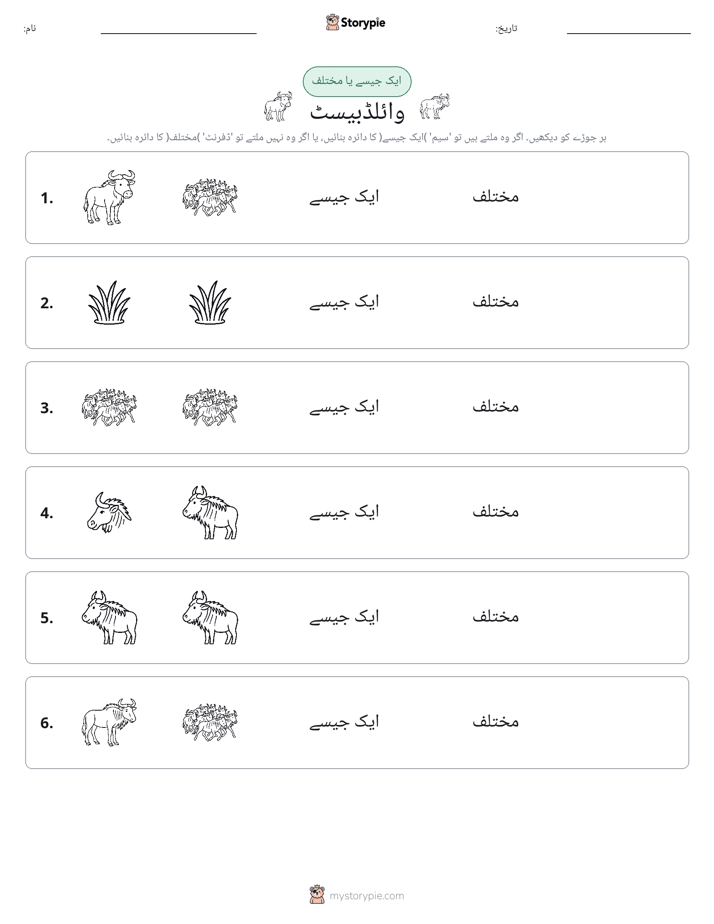 ایک جیسا یا مختلف