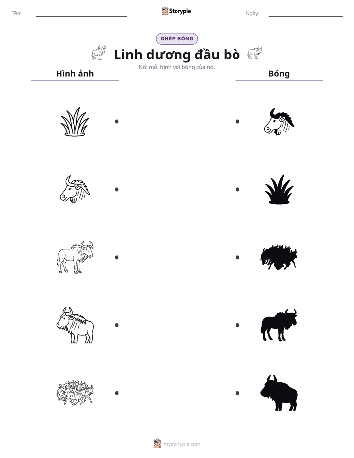 Ghép Hình Bóng