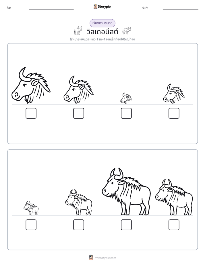 ลำดับขนาด