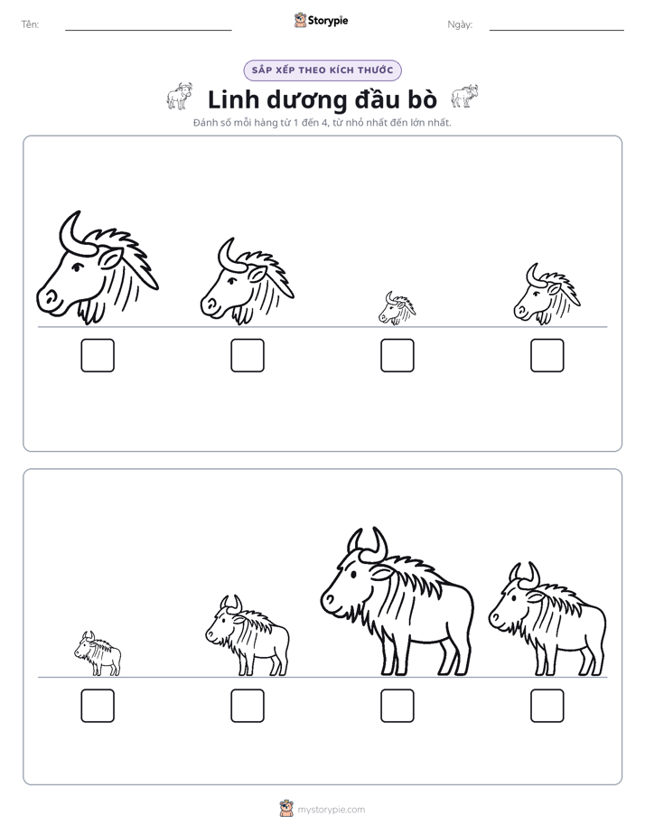Thứ Tự Kích Thước