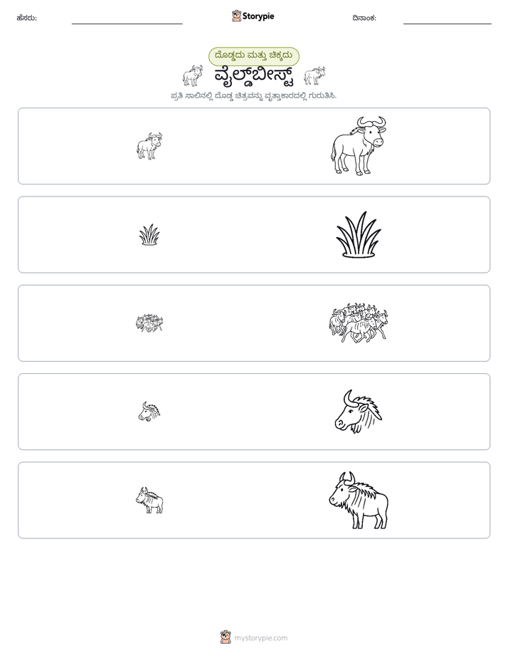 ವರ್ಗೀಕರಣ