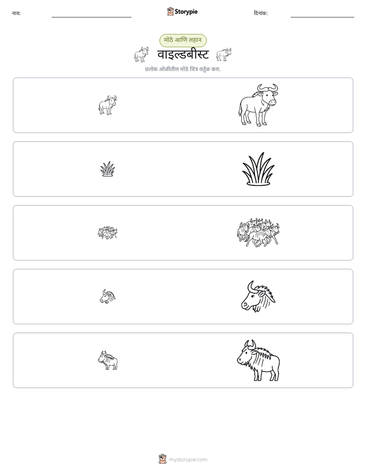 वर्गीकरण