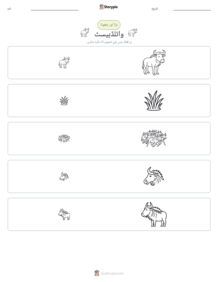 ترتیب دینا