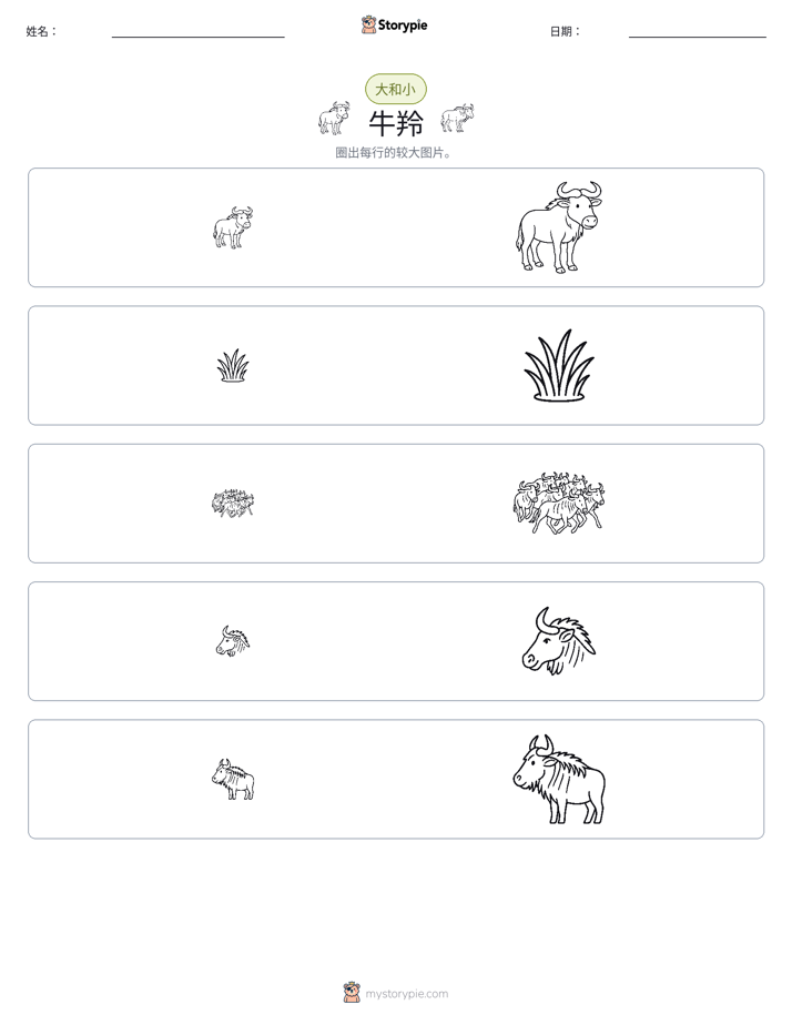 分类