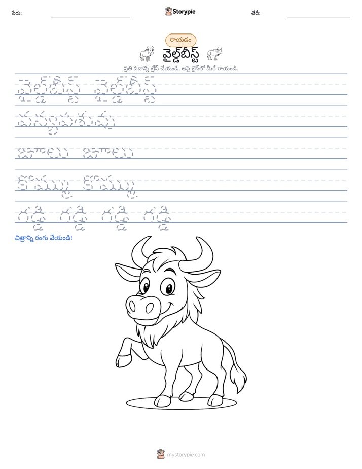 రాయడం సాధన