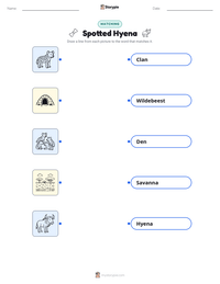 Spotted Hyena printable worksheet preview