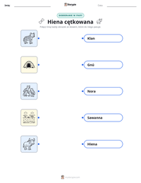Podgląd drukowalnego arkusza ćwiczeń Hiena cętkowana