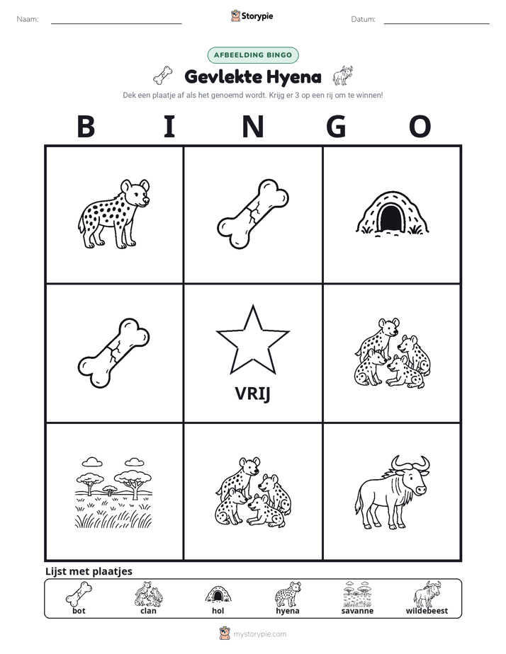 Afbeelding Bingo