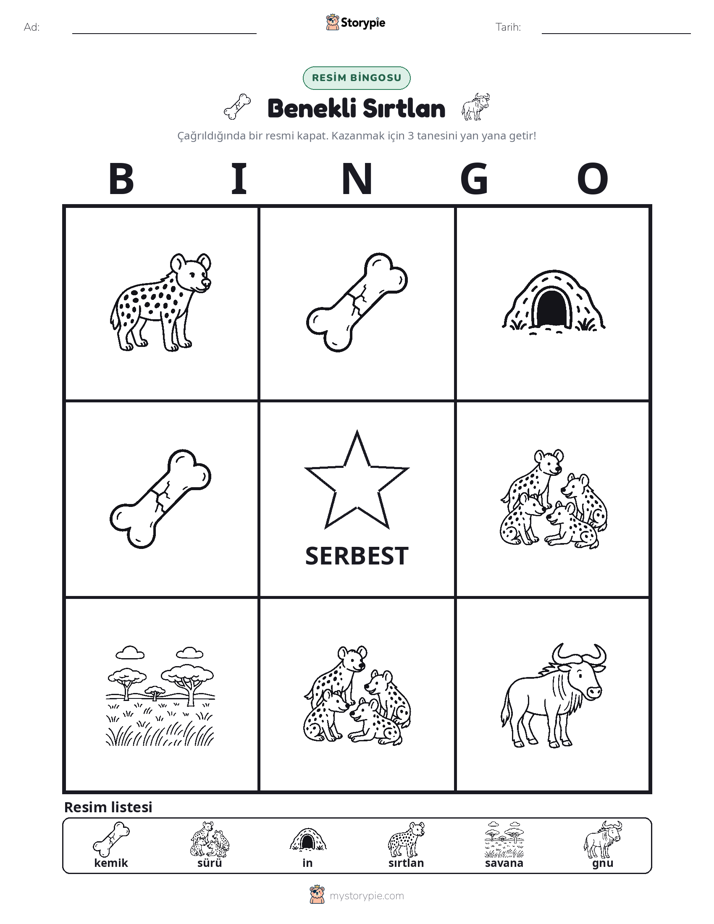 Resim Bingo